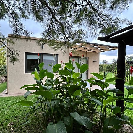 Loft Los Cerezos En Vistalba, Zona De Vinedos Y Bodegas Lujan de Cuyo المظهر الخارجي الصورة