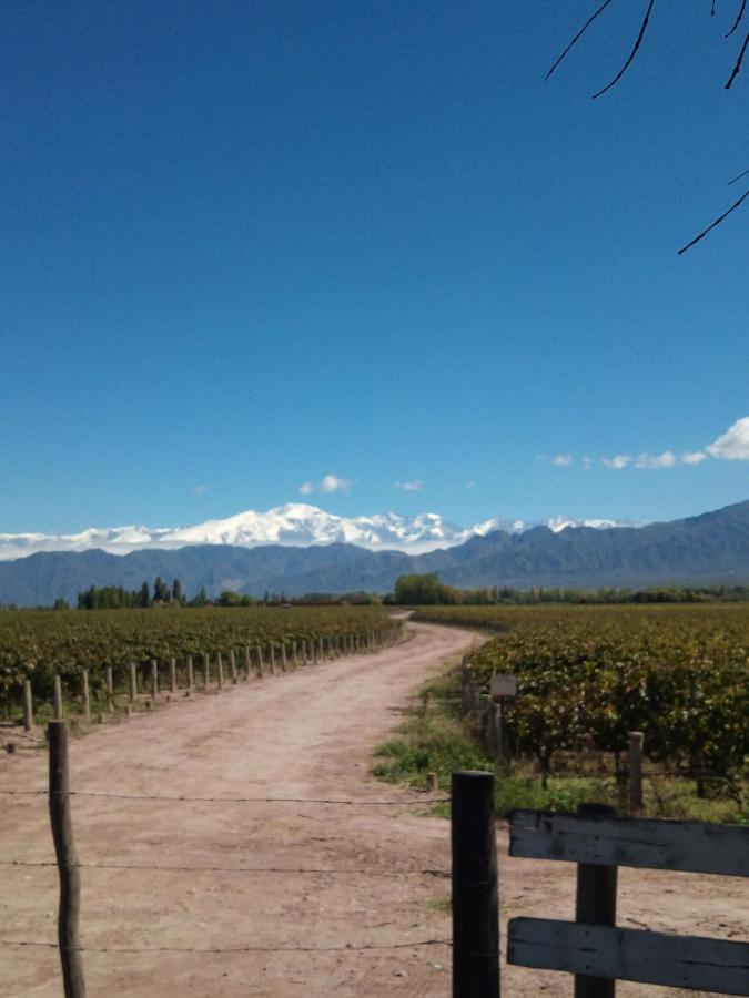 Loft Los Cerezos En Vistalba, Zona De Vinedos Y Bodegas Lujan de Cuyo المظهر الخارجي الصورة