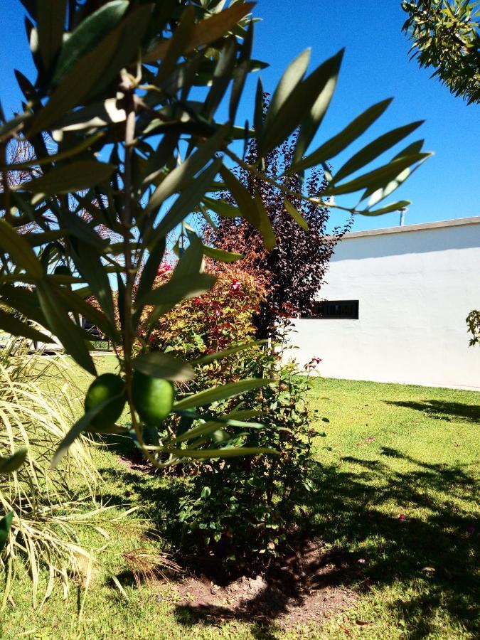 Loft Los Cerezos En Vistalba, Zona De Vinedos Y Bodegas Lujan de Cuyo المظهر الخارجي الصورة